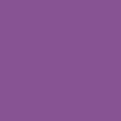 Premium Vinyl™ Sampler, Princess - Removable