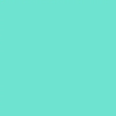 Smart Vinyl™ – Removable (3 ft)